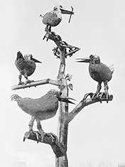 Kaakanat